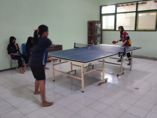 Tenis Meja